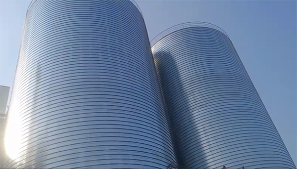 象州2座混凝土高架卷板仓